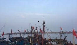 爆料小智赶海视频下载,揭秘海洋宝藏的奇妙之旅