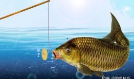 吃瓜娱乐小鲤鱼视频,趣味视频引网友热议